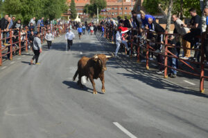 2022 Encierros lunes