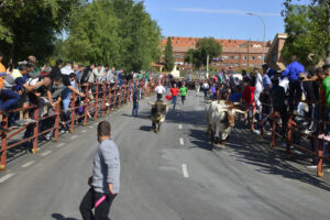 2022 Encierros lunes