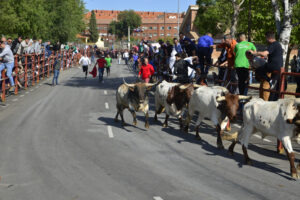 2022 Encierros lunes