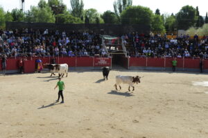 2022 Encierros lunes