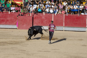 2022 Concurso nacional de recortes