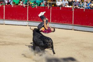 2022 Concurso nacional de recortes