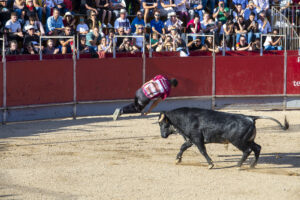 2022 Concurso nacional de recortes