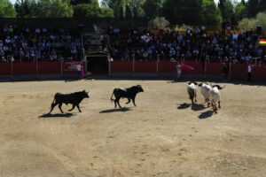 2022 Encierros martes