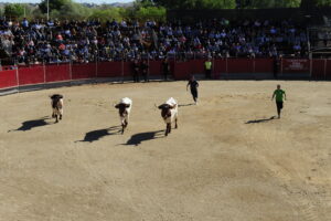 2022 Encierros martes