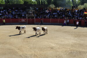 2022 Encierros martes