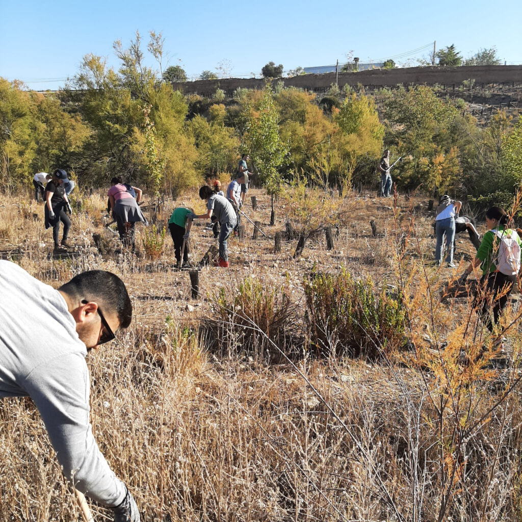 20221015 recogida basura (1)