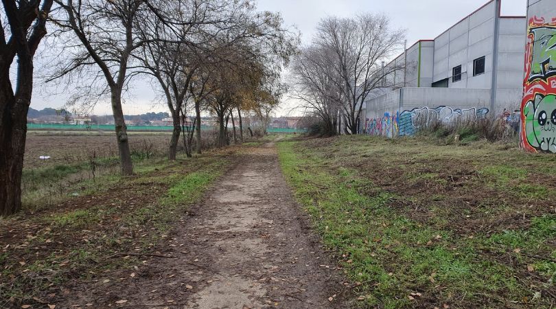 Desbroce y limpieza de residuos en el camino junto a la laguna El Raso