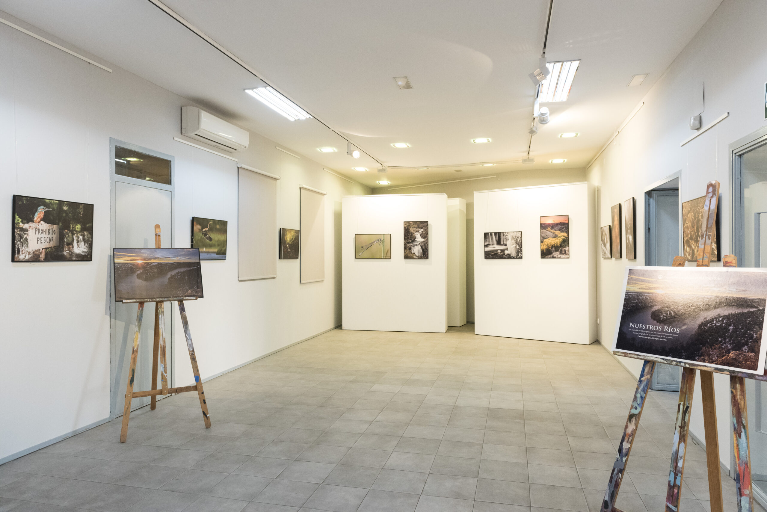 2022 Exposición Fonamad “Nuestros ríos: caminos de agua, refugios de vida”