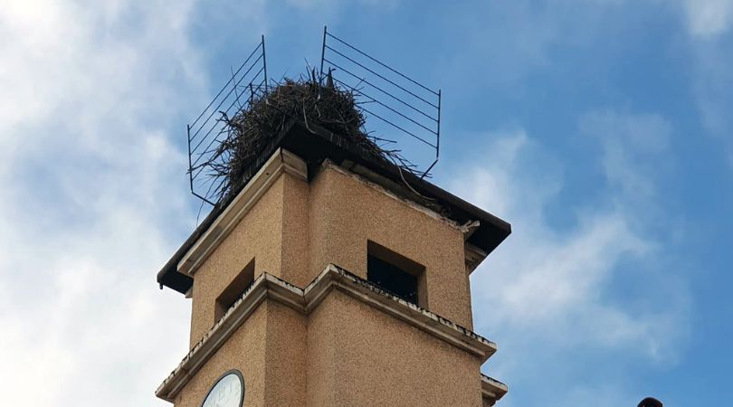 Nueva estructura metálica para soportar el nido de cigüeñas de la torre del Ayuntamiento