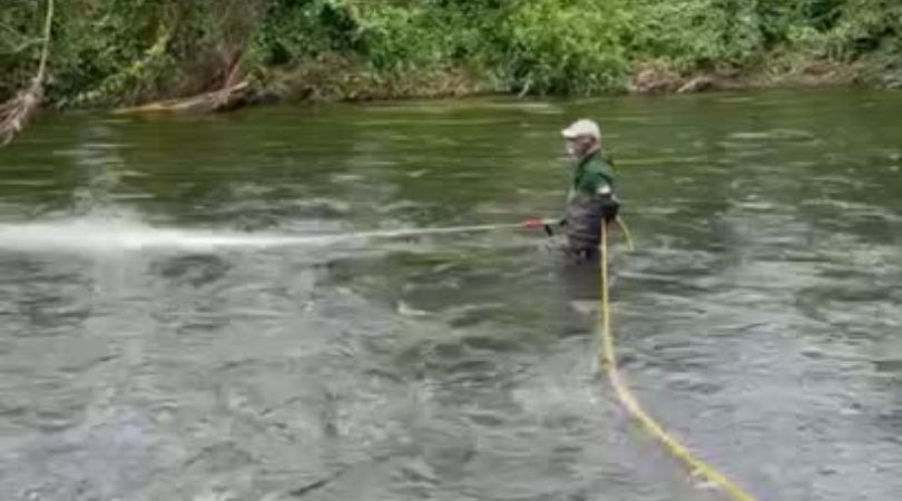 Seguimos con los tratamientos para combatir la mosca negra