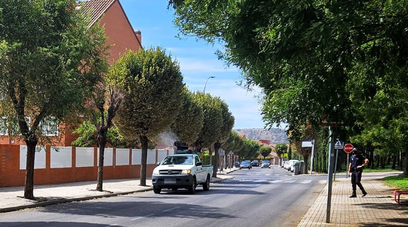 El Ayuntamiento fumiga los olmos afectados por la Galeruca