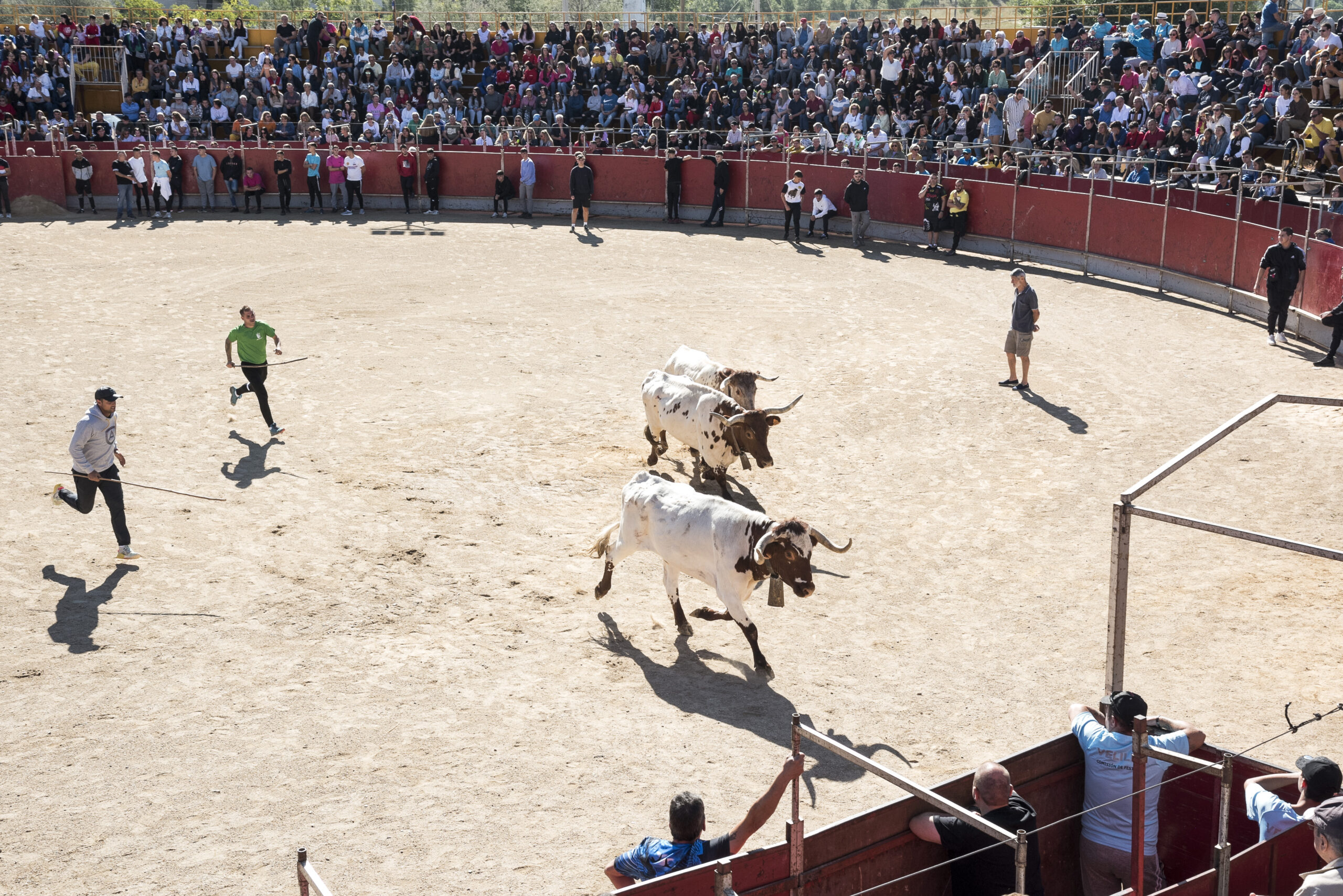 Encierro sábado 23 septiembre