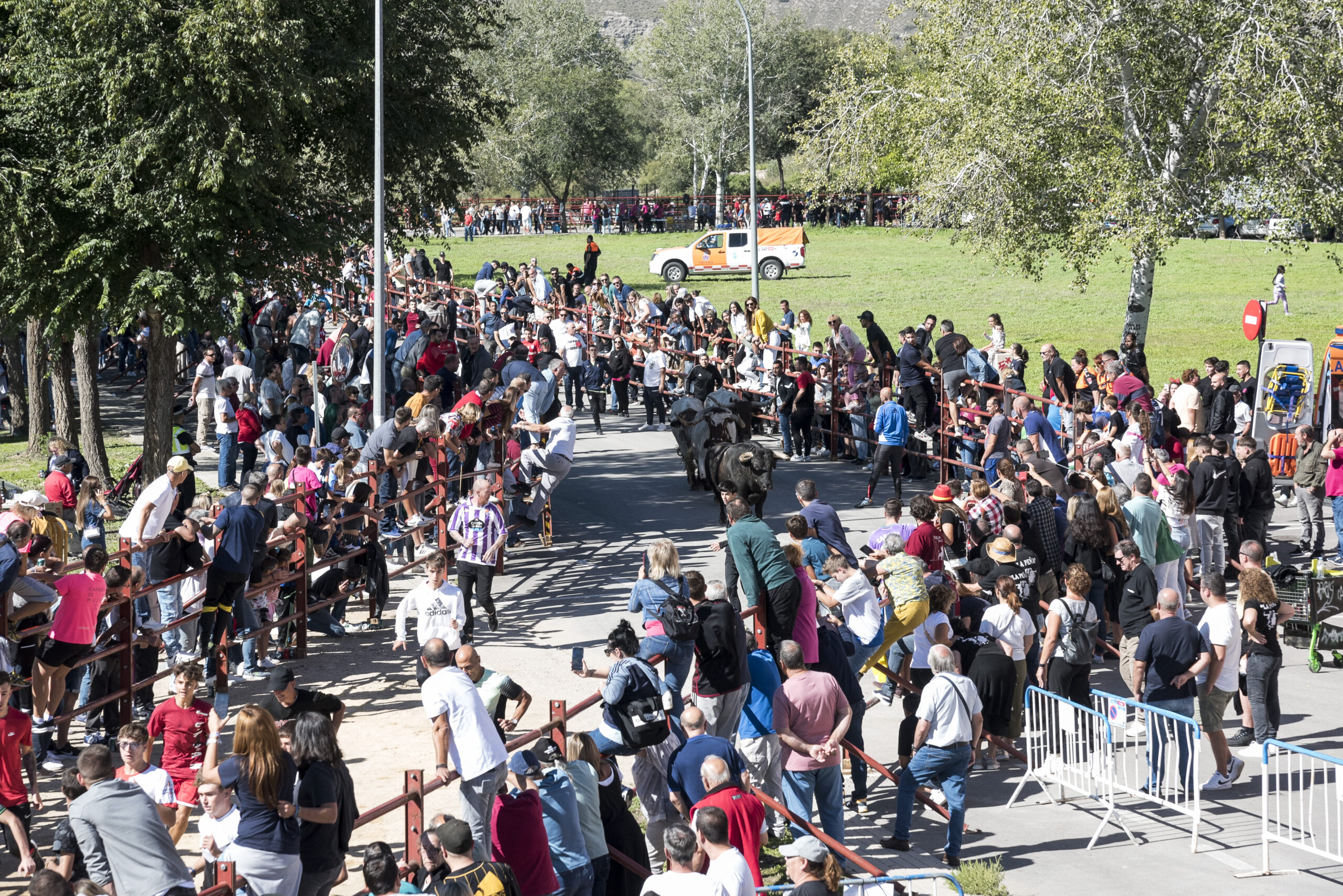 Encierro sábado 23 septiembre