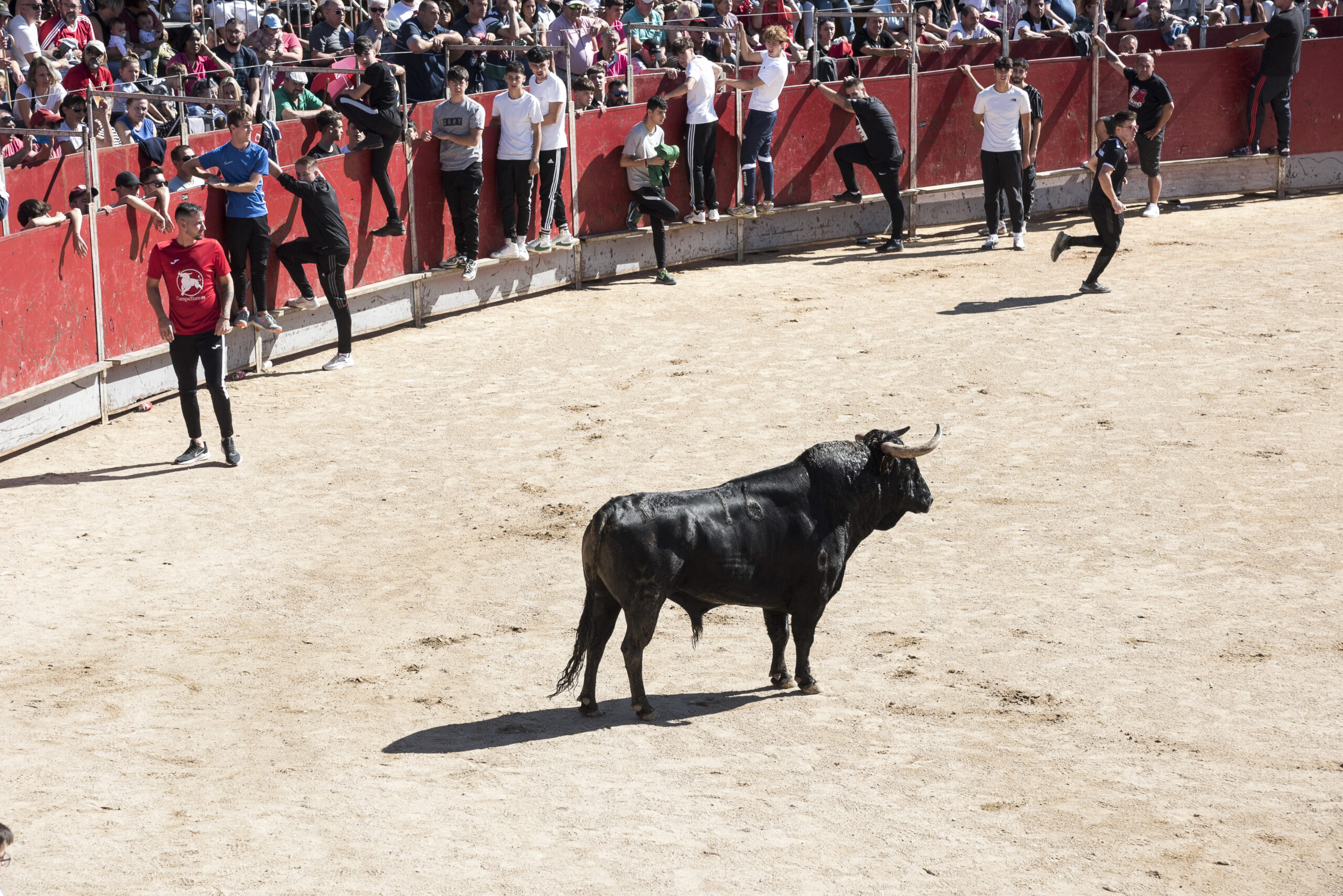 Encierro sábado 23 septiembre