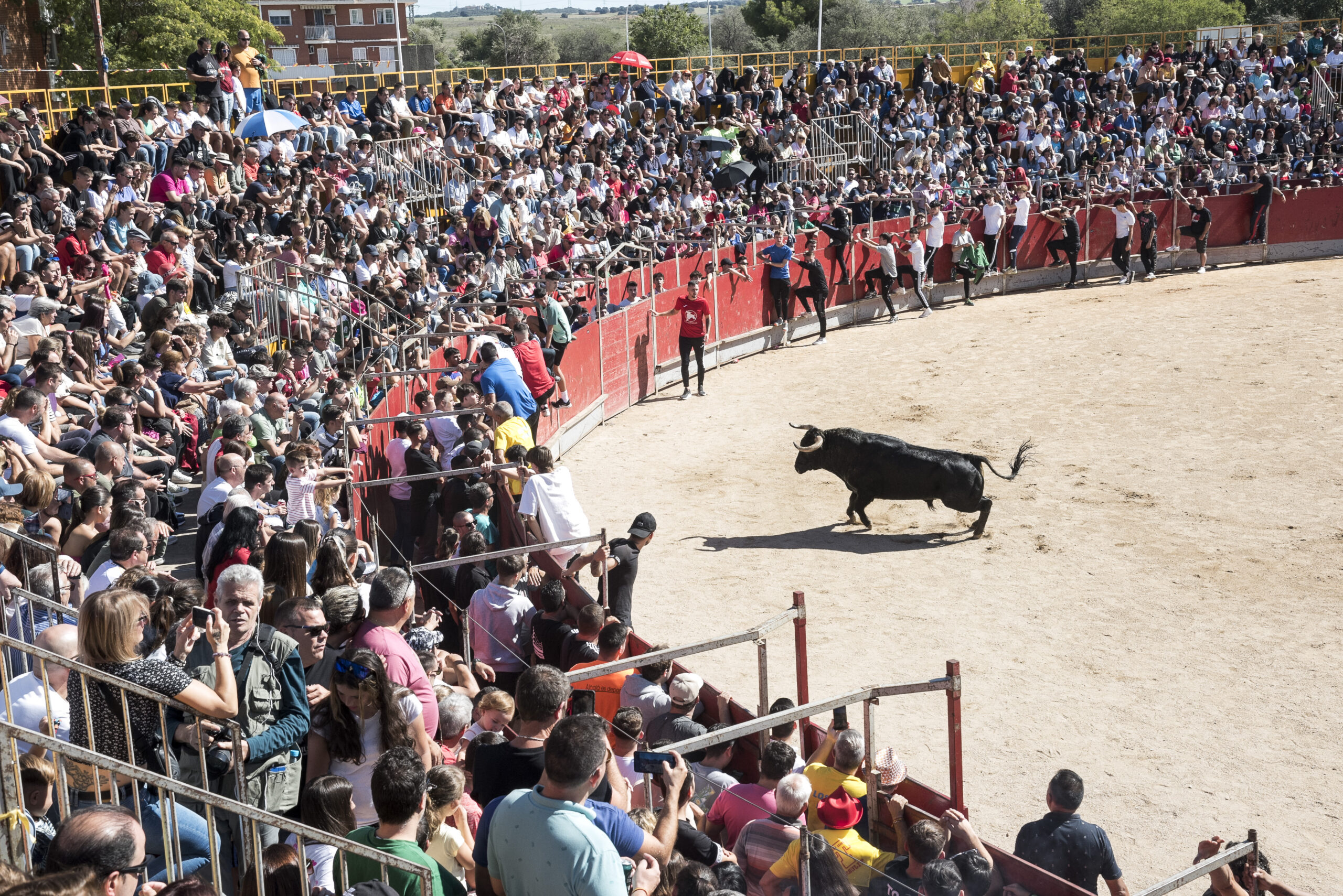 Encierro sábado 23 septiembre