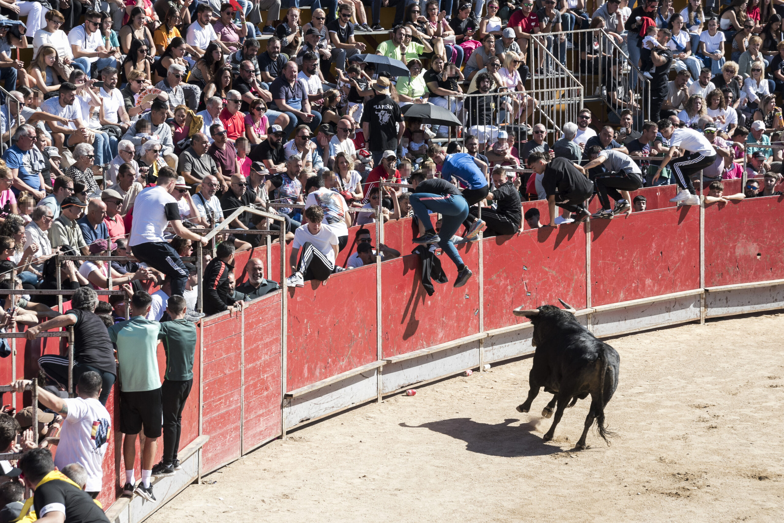 Encierro sábado 23 septiembre