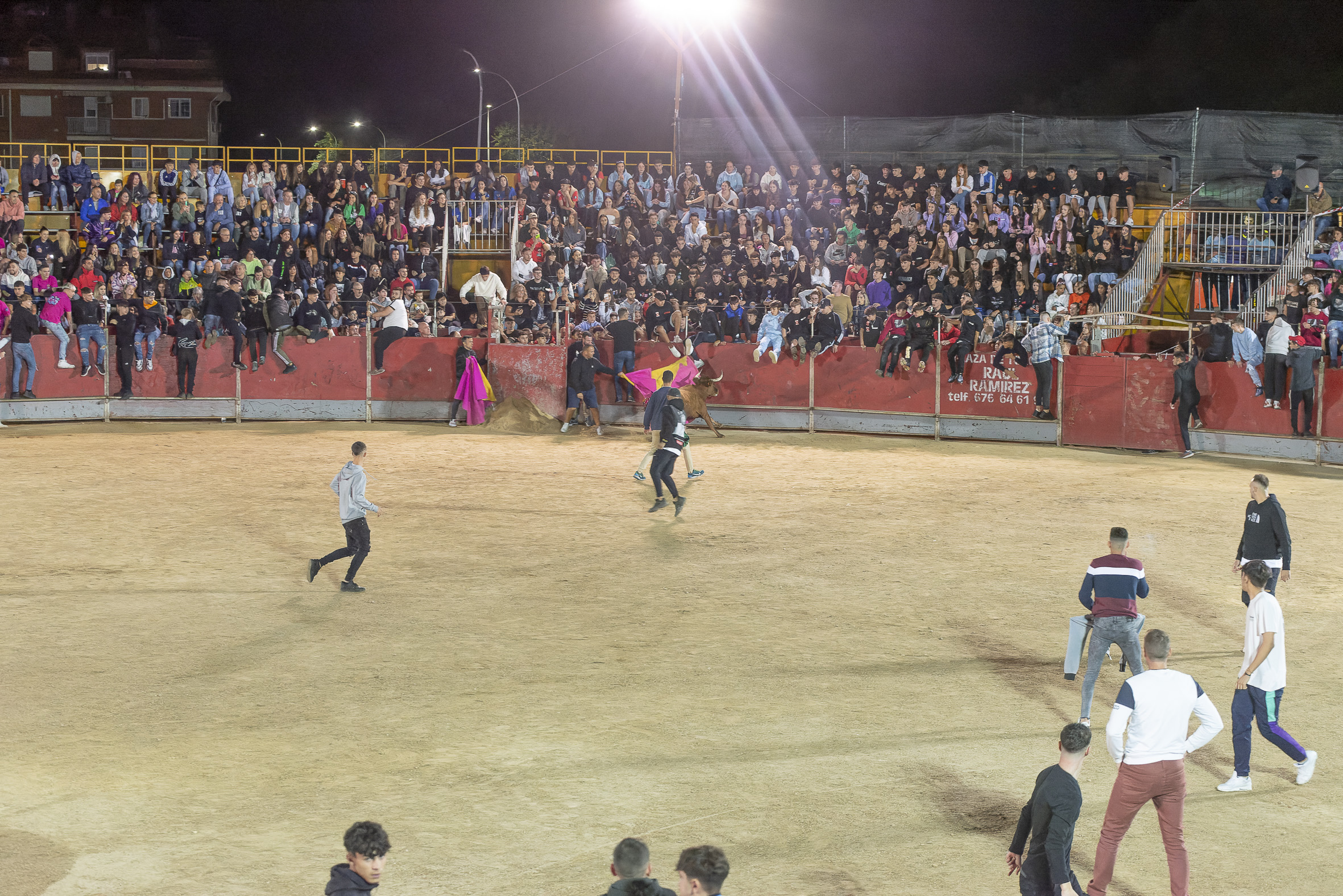 Suelta de vaquillas nocturna