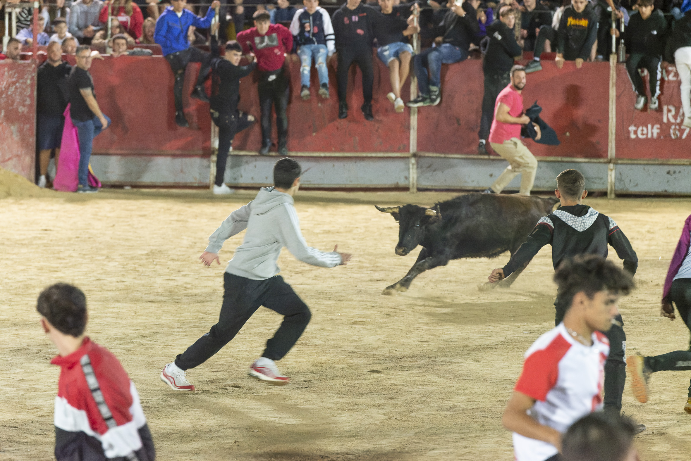 Suelta de vaquillas nocturna