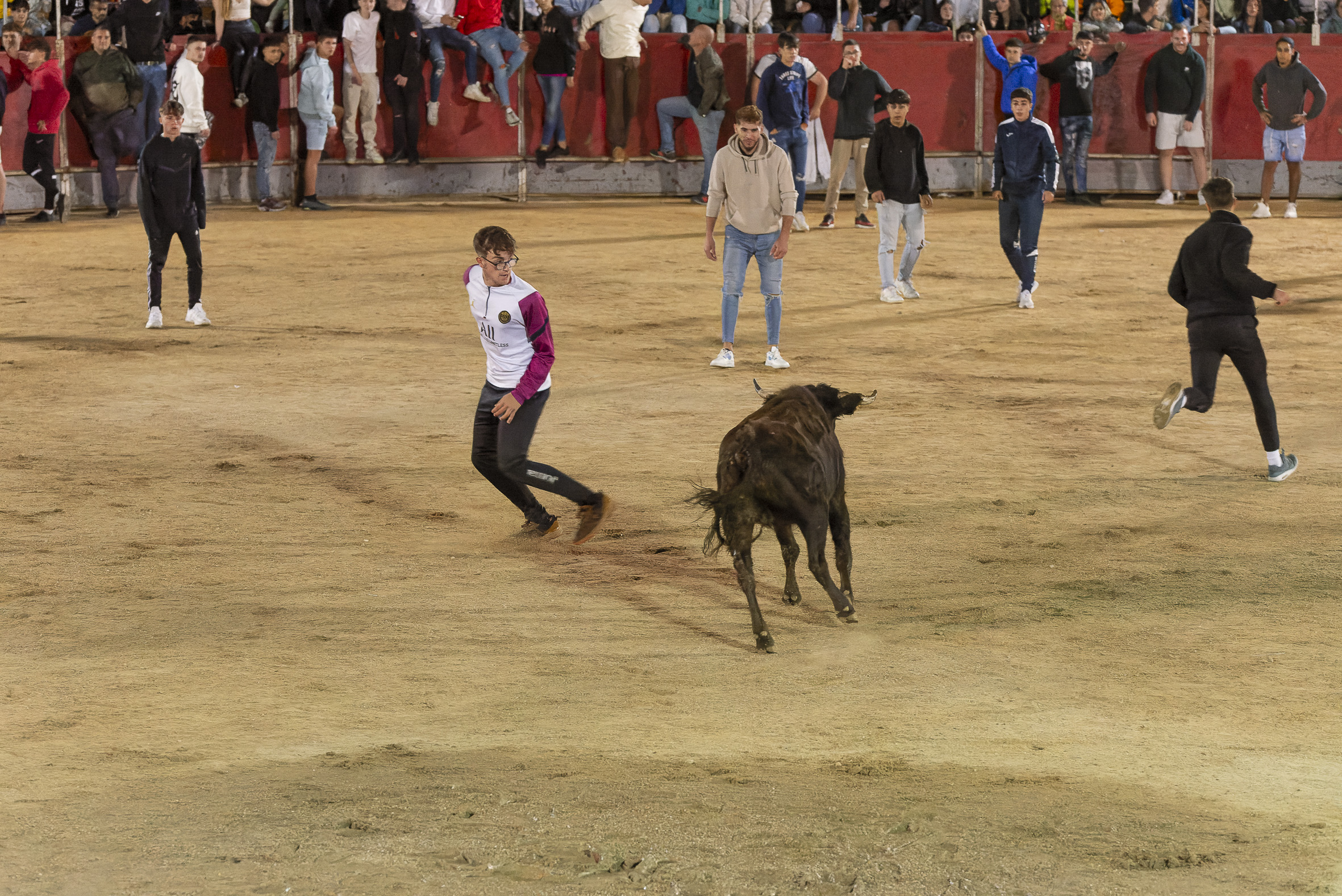 Suelta de vaquillas nocturna