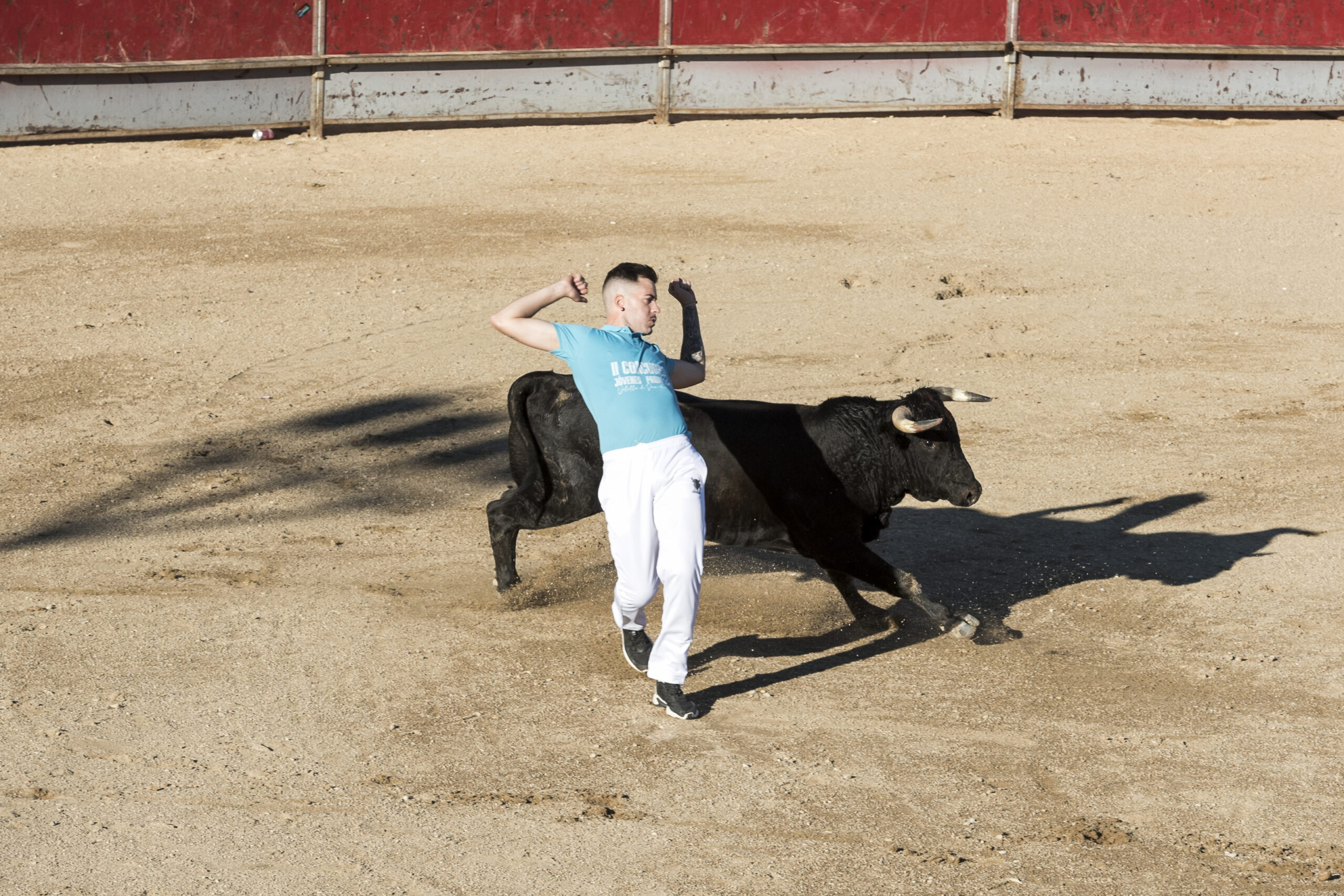 Concurso recortadores aficionados