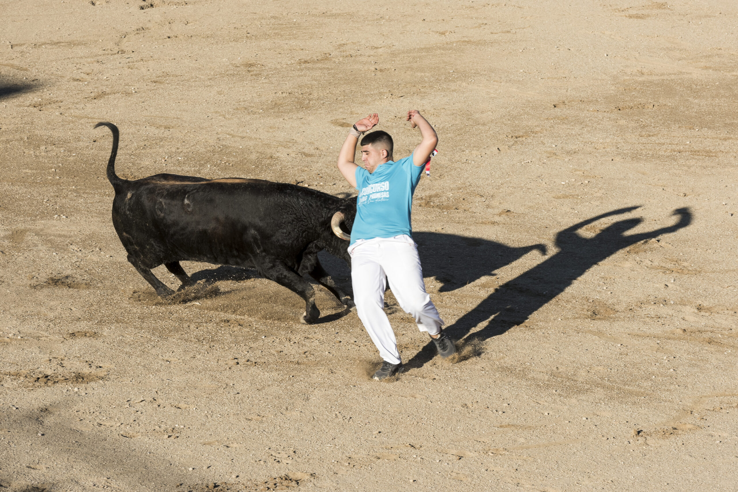 Concurso recortadores aficionados