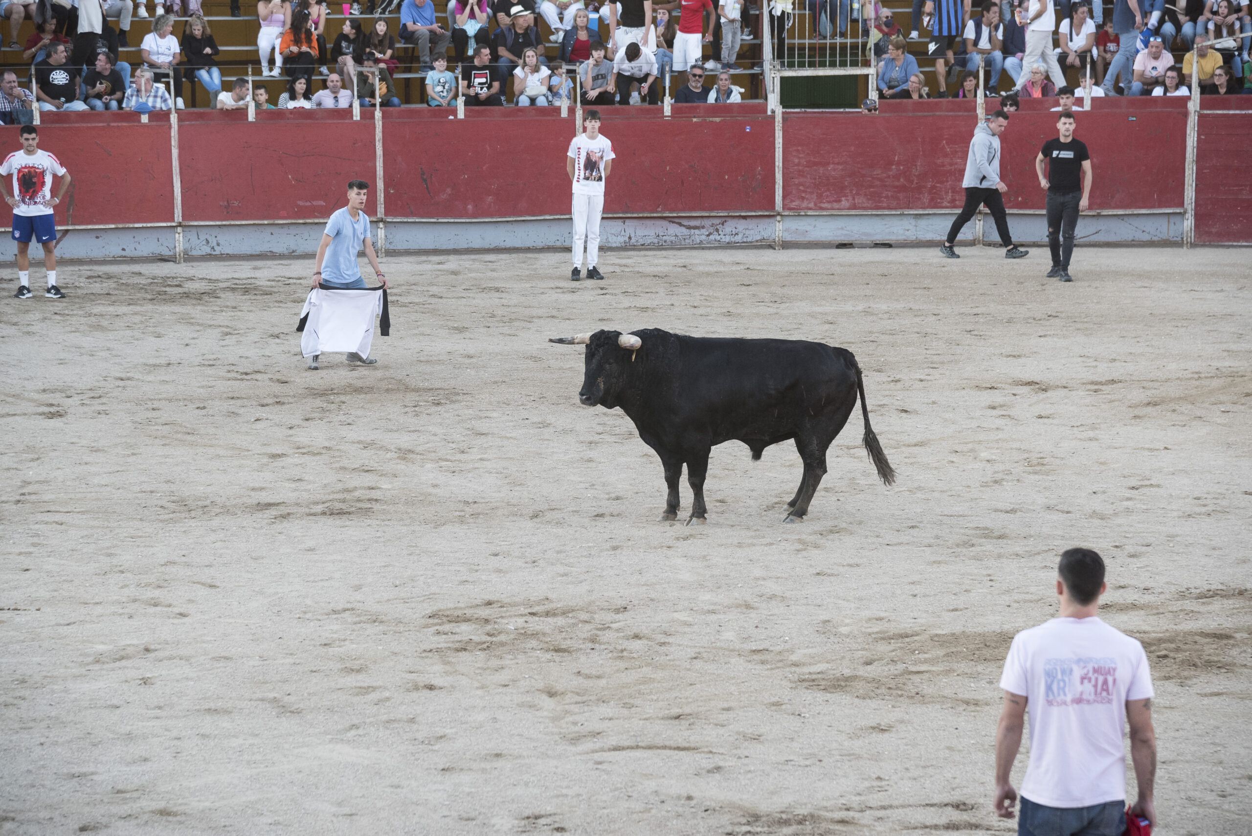 Concurso recortadores aficionados