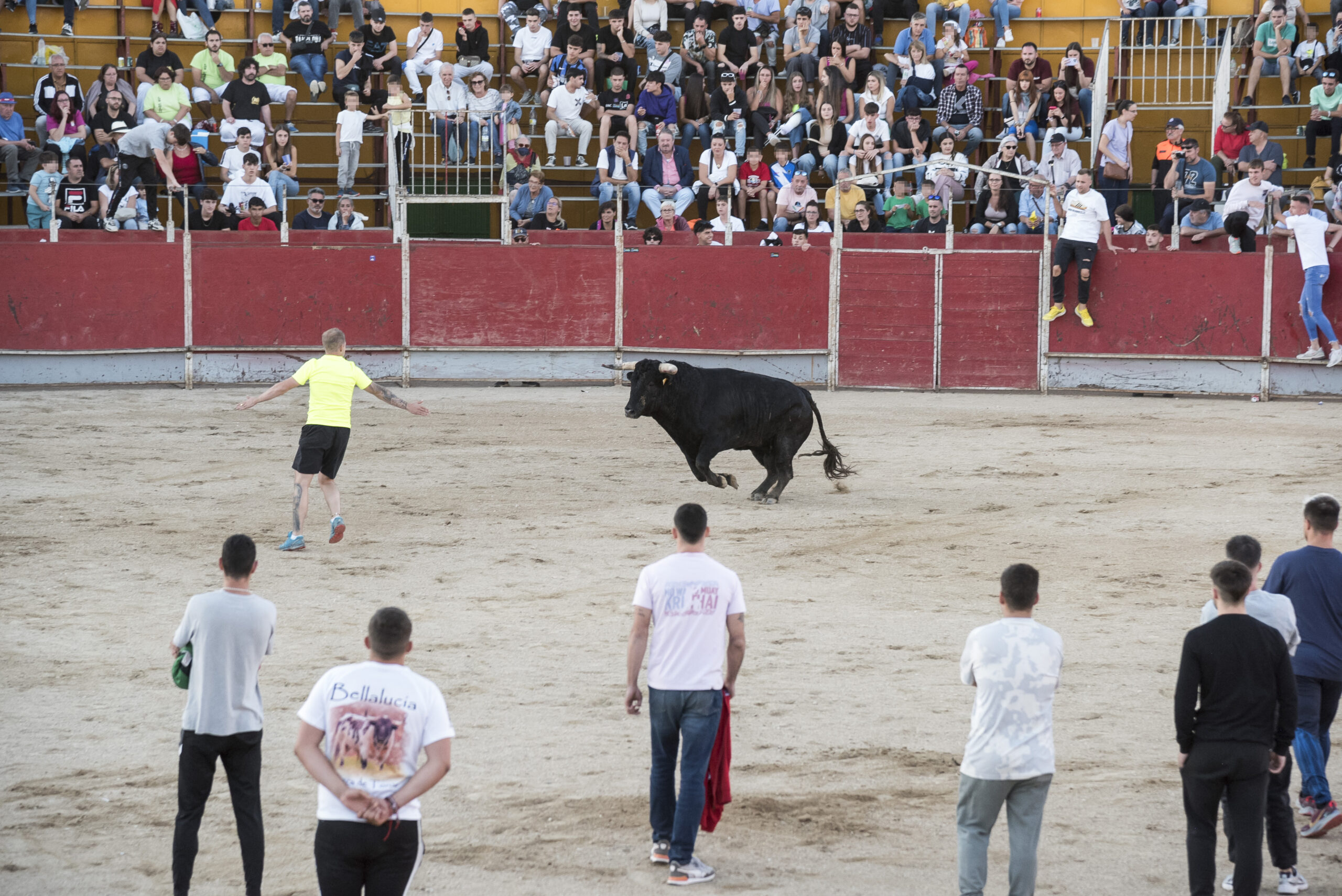 Concurso recortadores aficionados