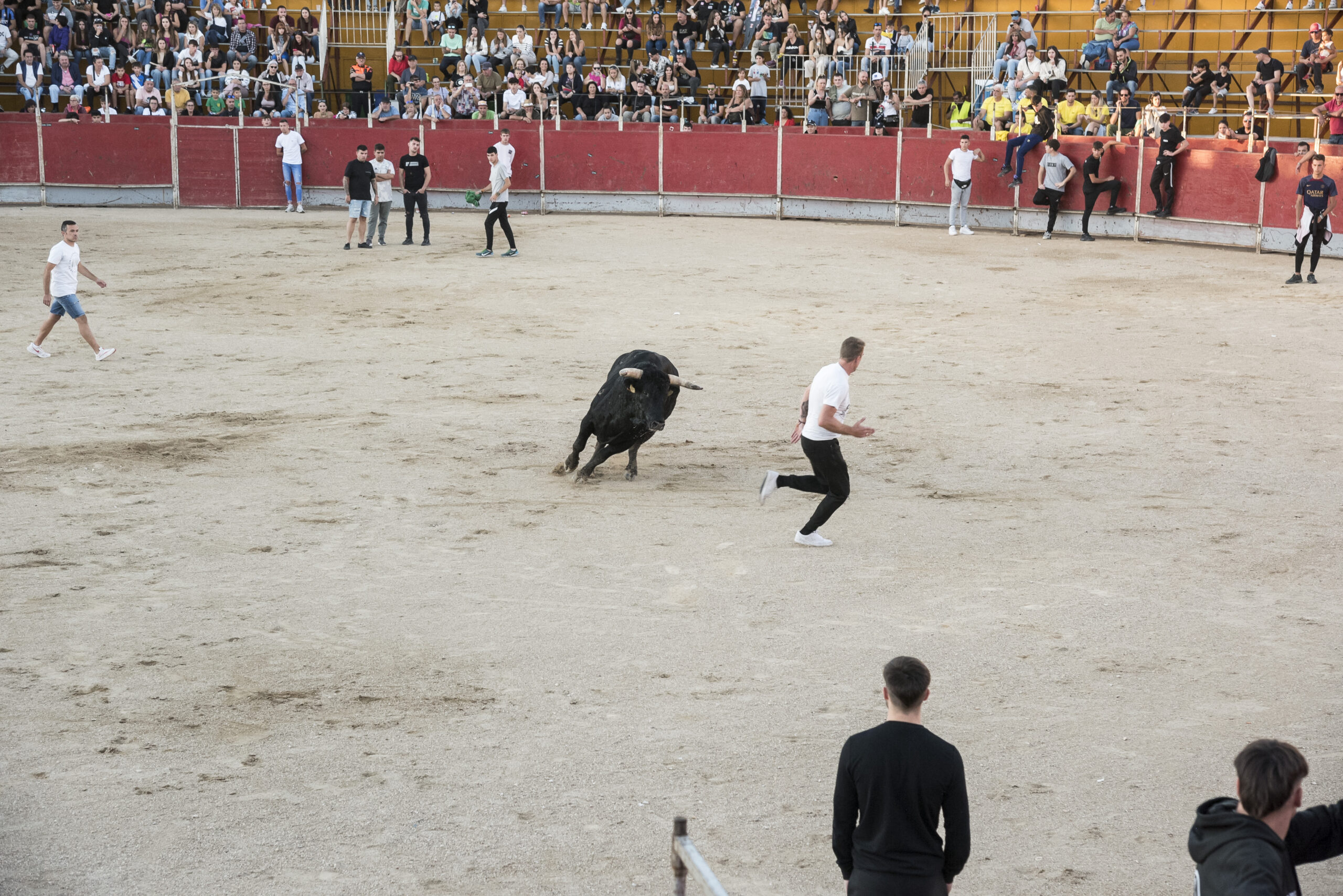 Concurso recortadores aficionados