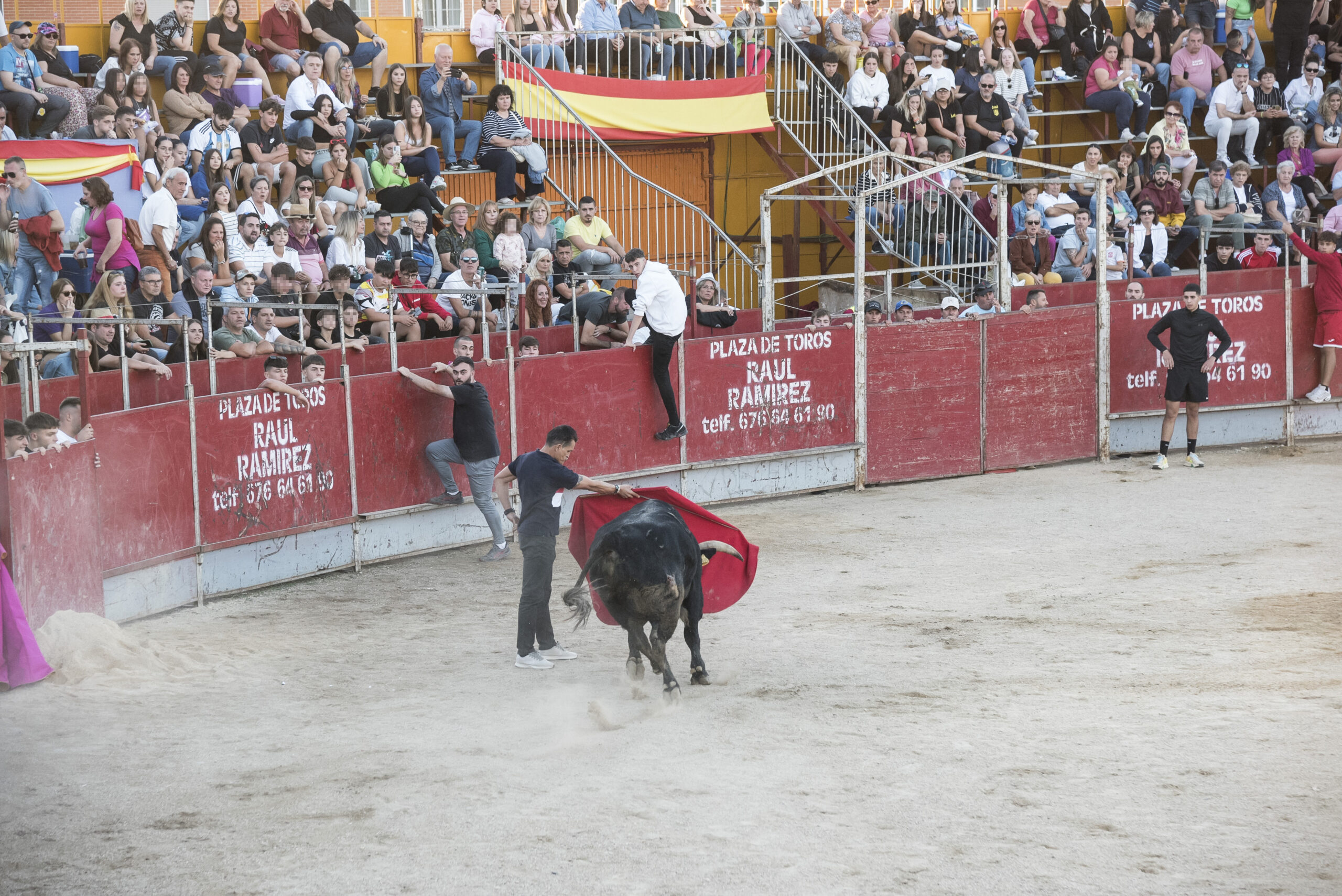 Concurso recortadores aficionados