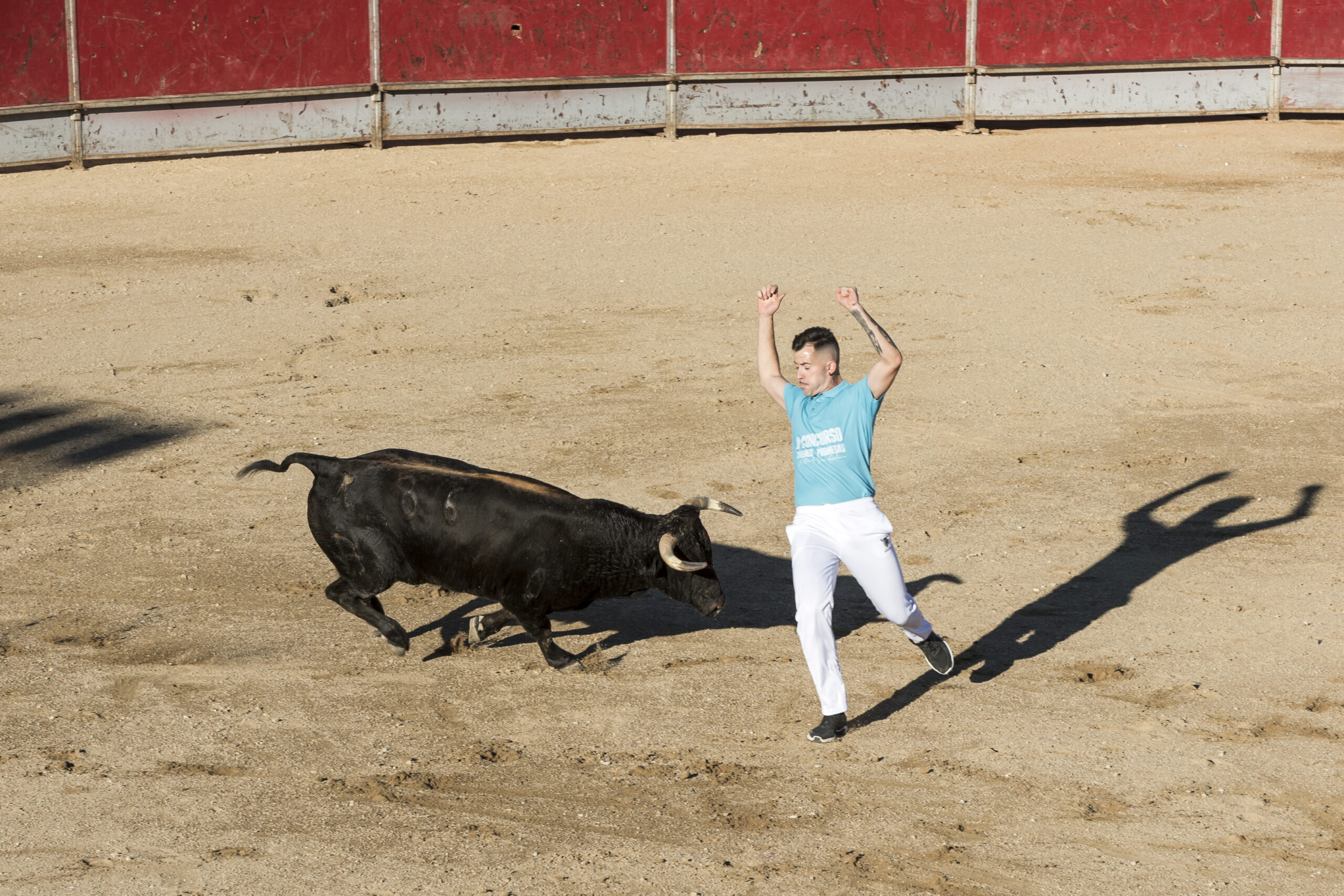 Concurso recortadores aficionados