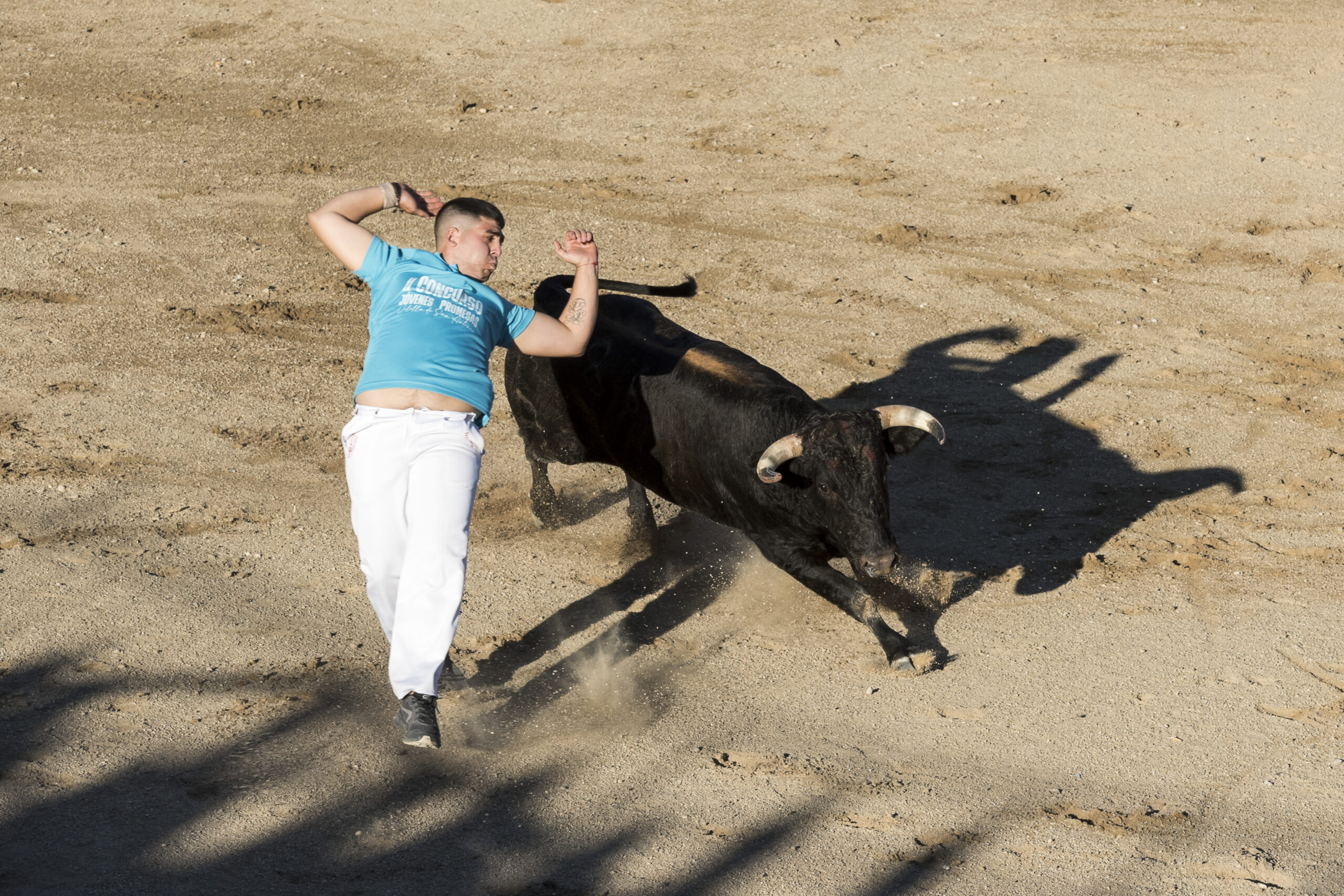 Concurso recortadores aficionados