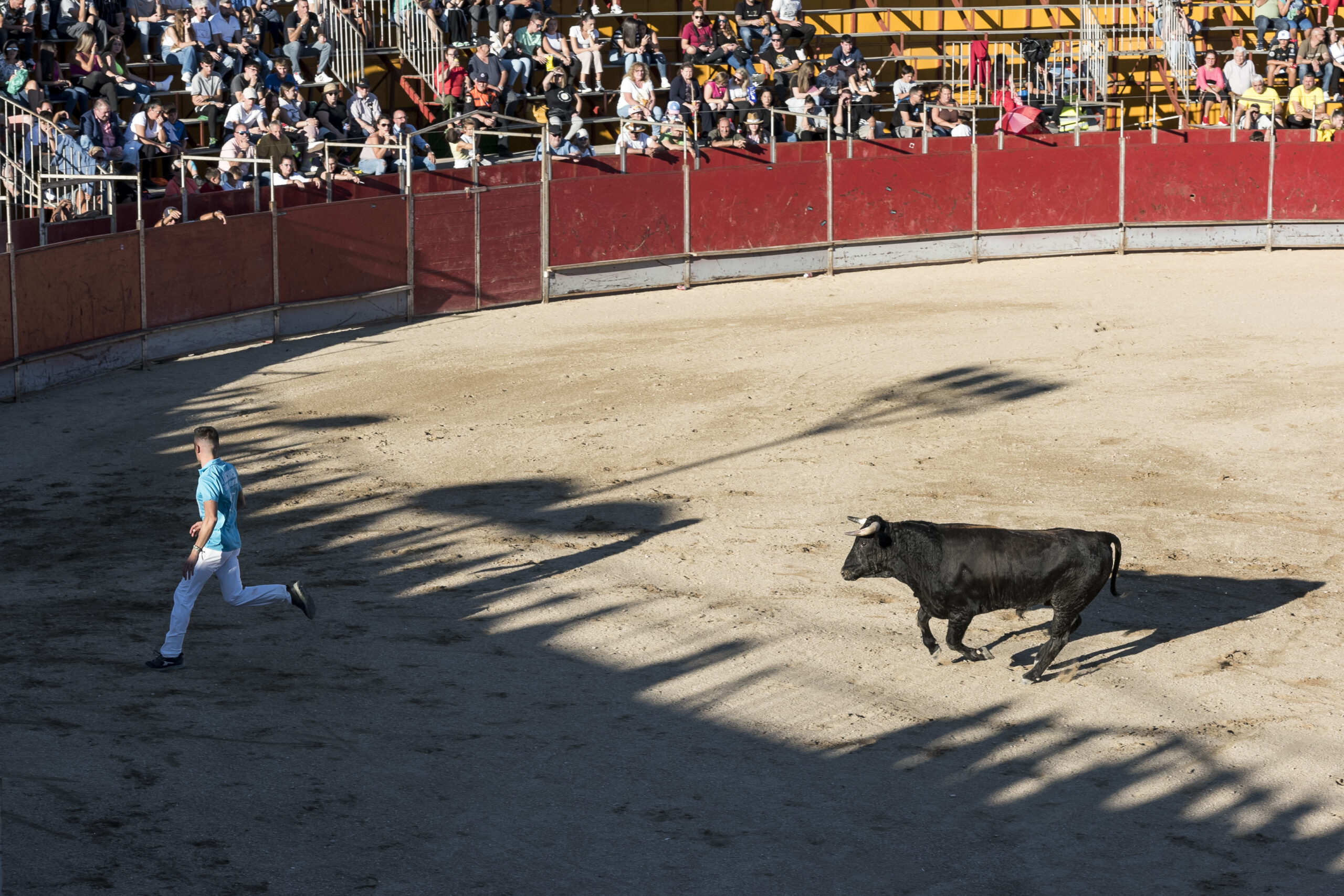 Concurso recortadores aficionados