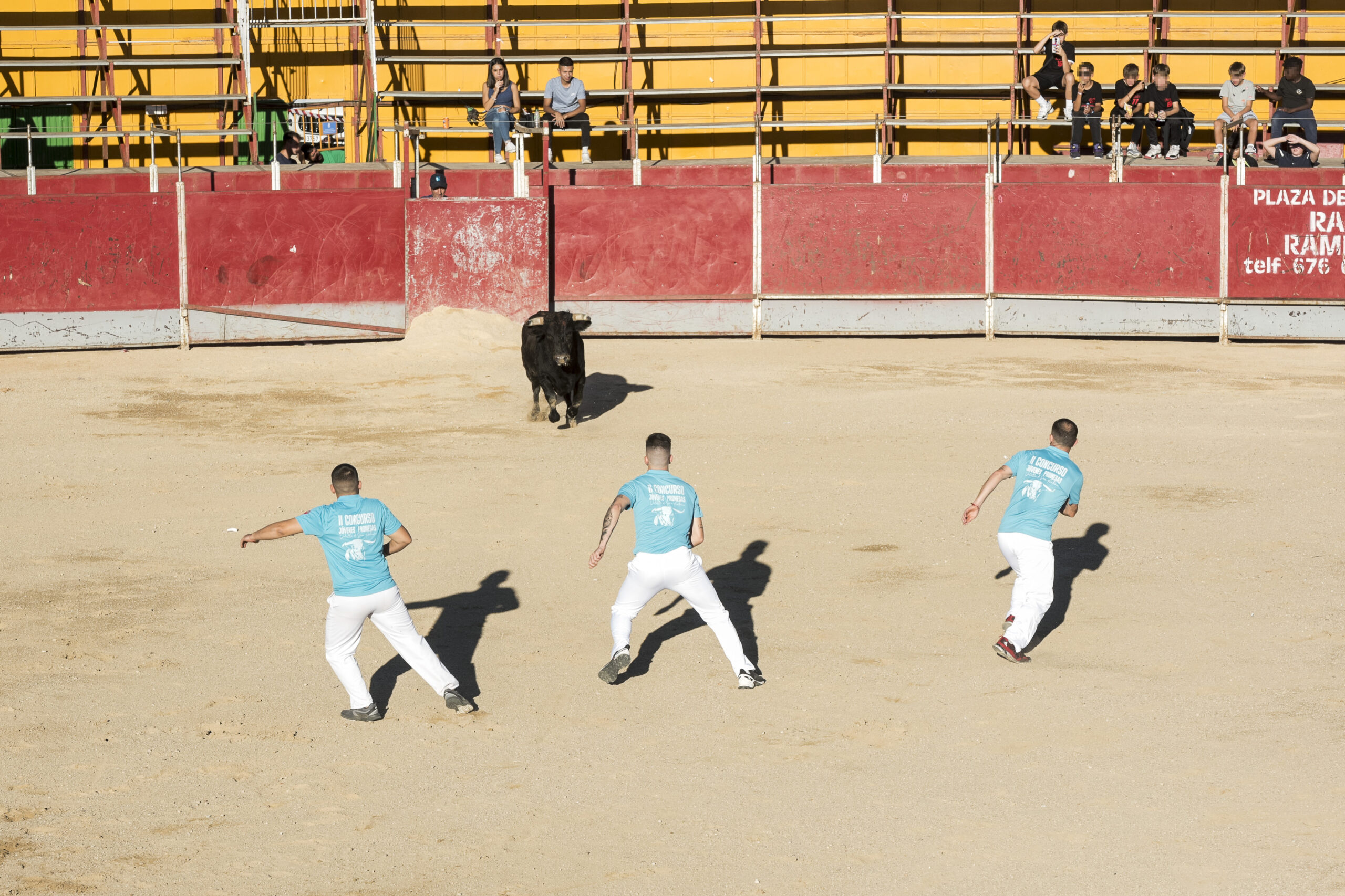 Concurso recortadores aficionados