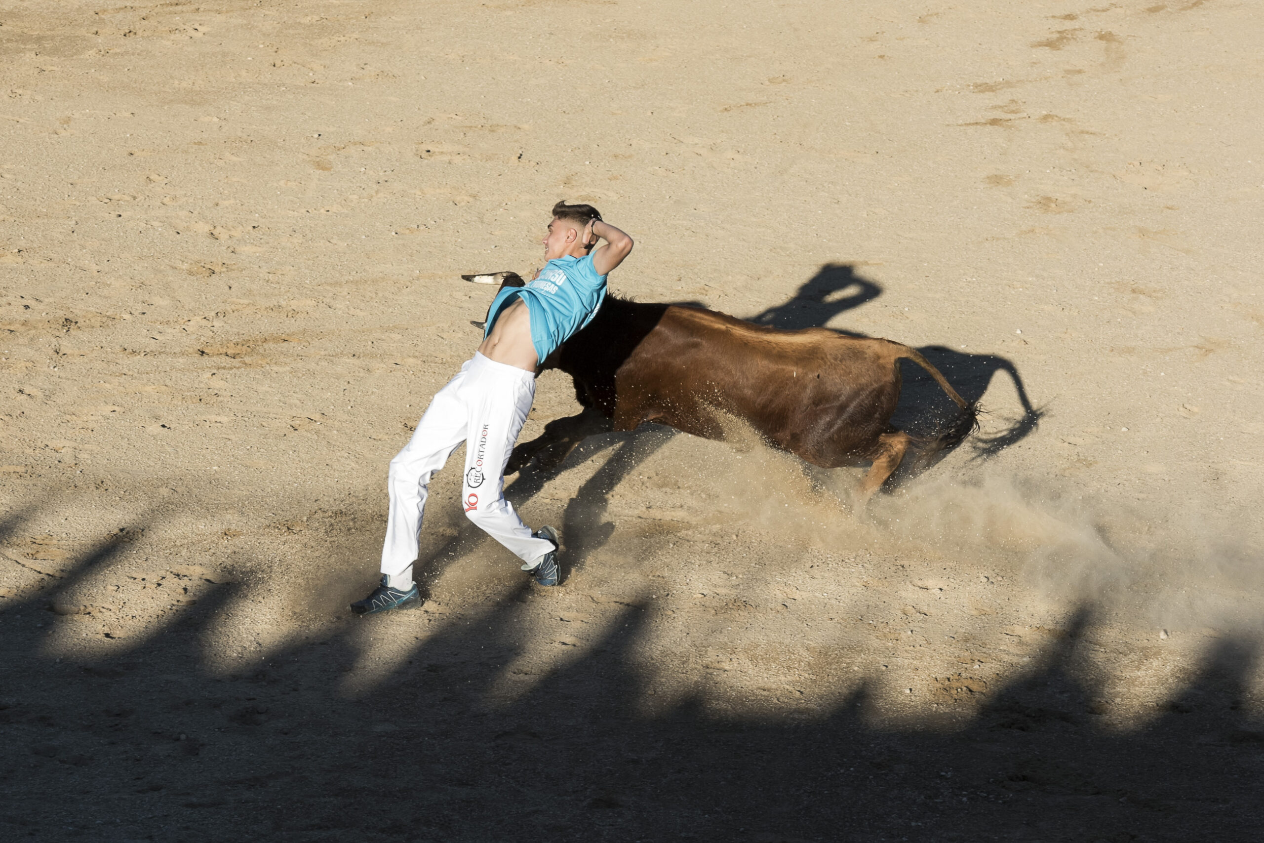 Concurso recortadores aficionados