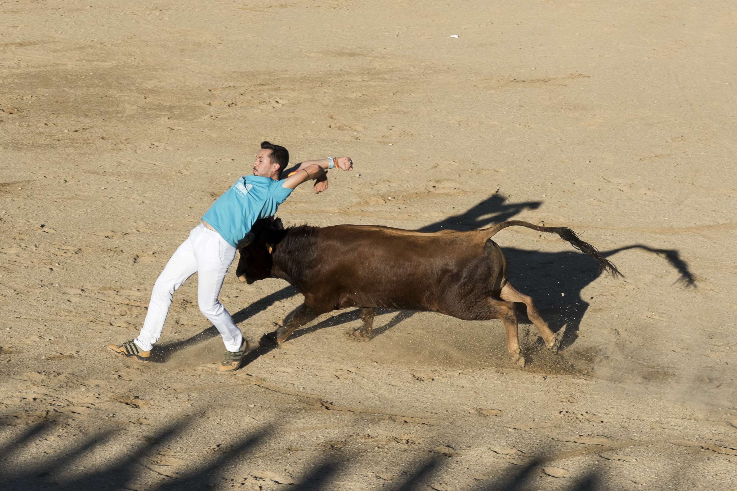 Concurso recortadores aficionados