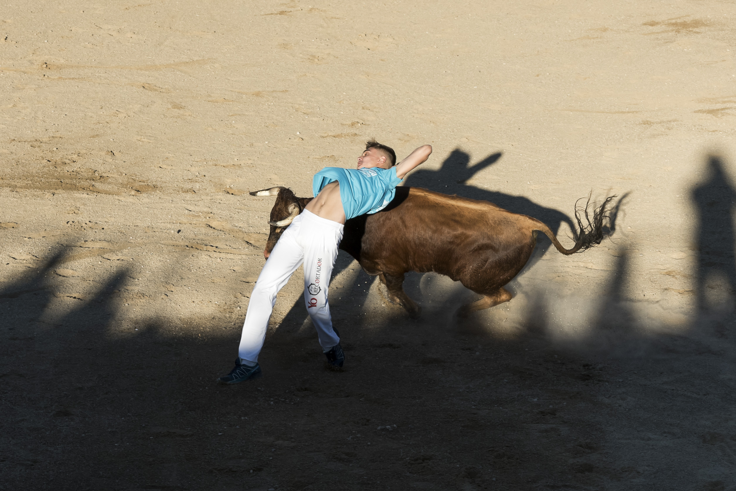 Concurso recortadores aficionados