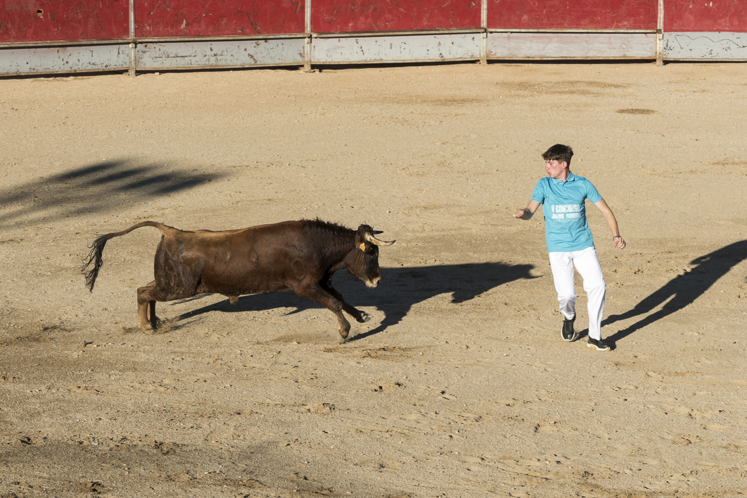 Concurso recortadores aficionados