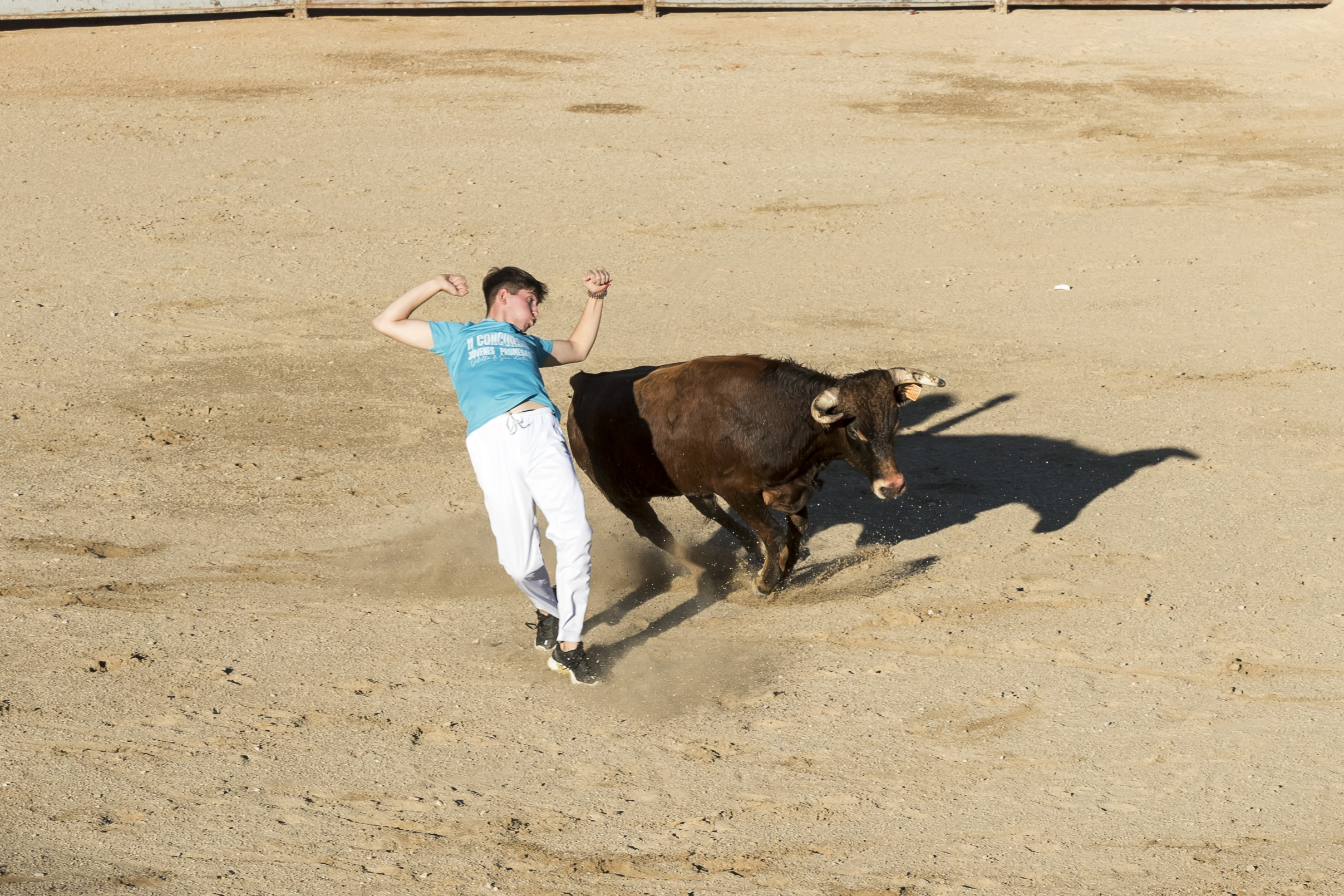 Concurso recortadores aficionados