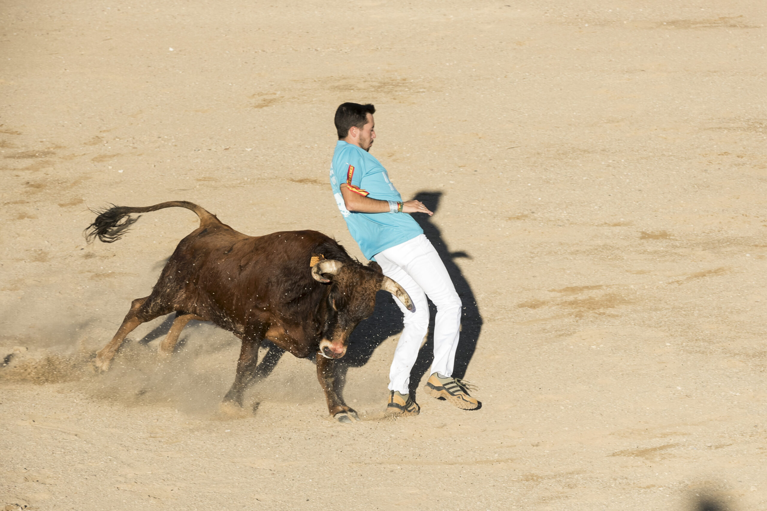 Concurso recortadores aficionados