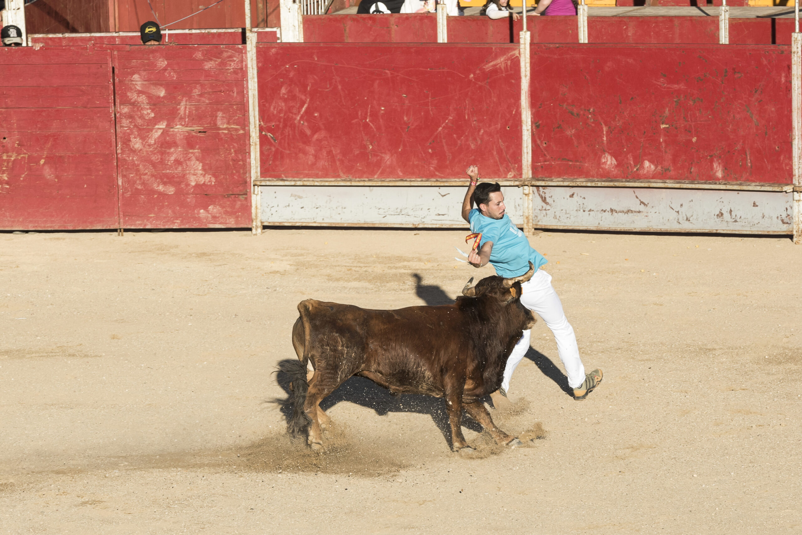 Concurso recortadores aficionados