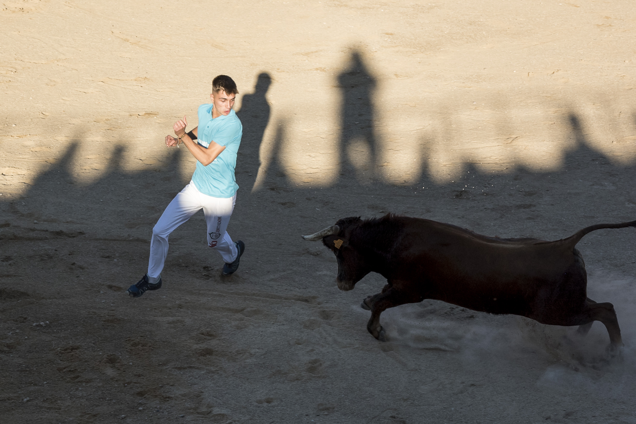 Concurso recortadores aficionados