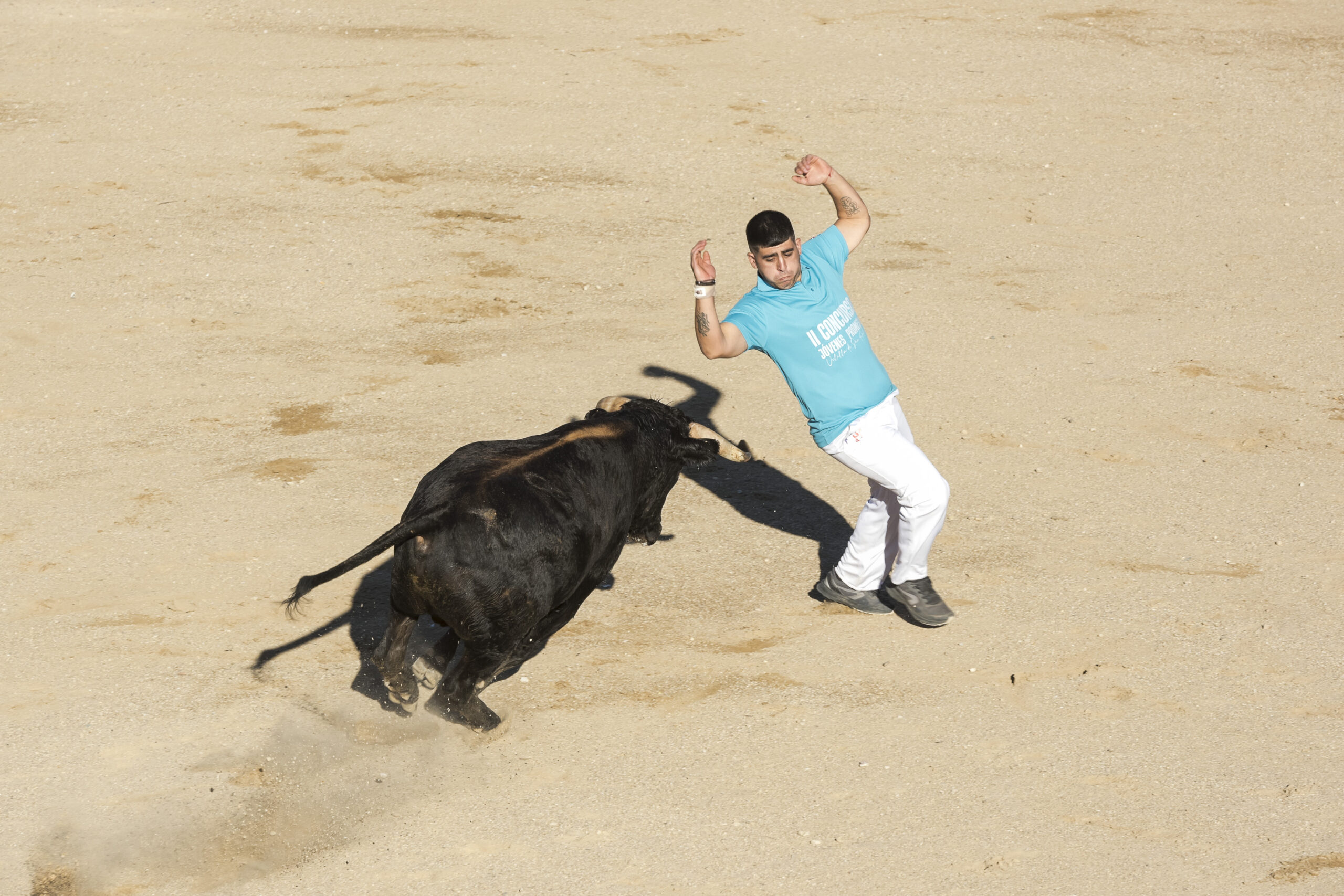 Concurso recortadores aficionados