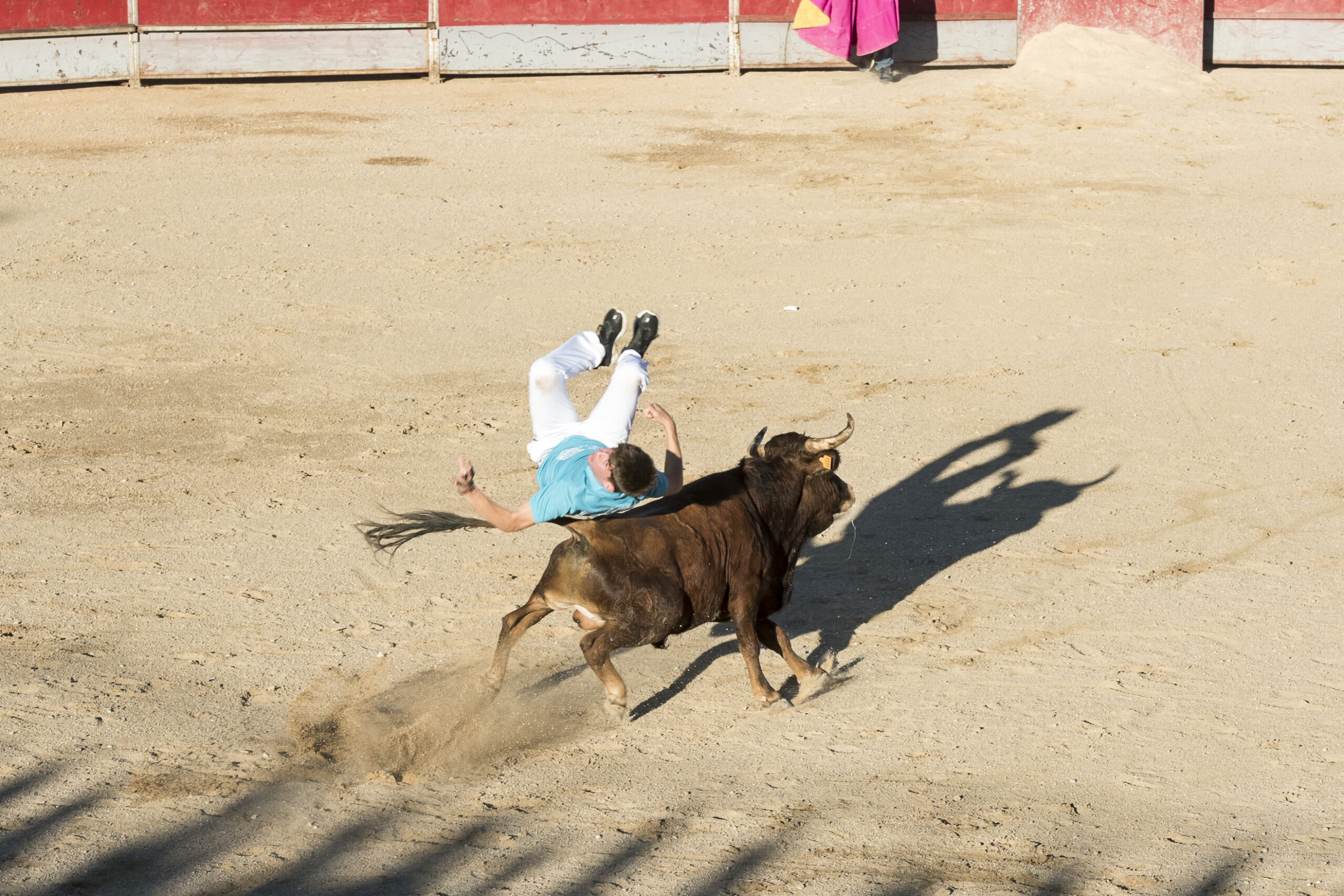 Concurso recortadores aficionados