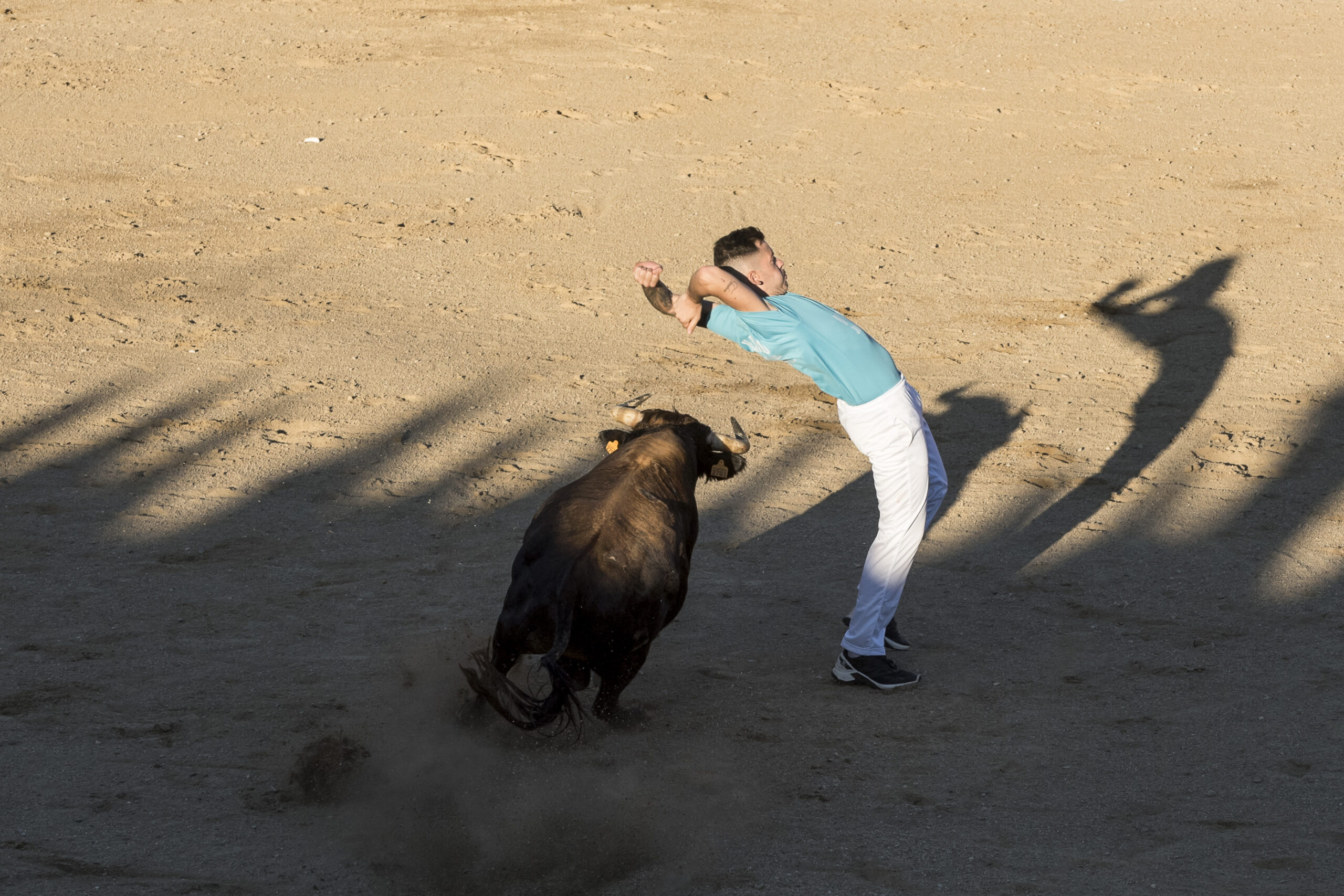 Concurso recortadores aficionados