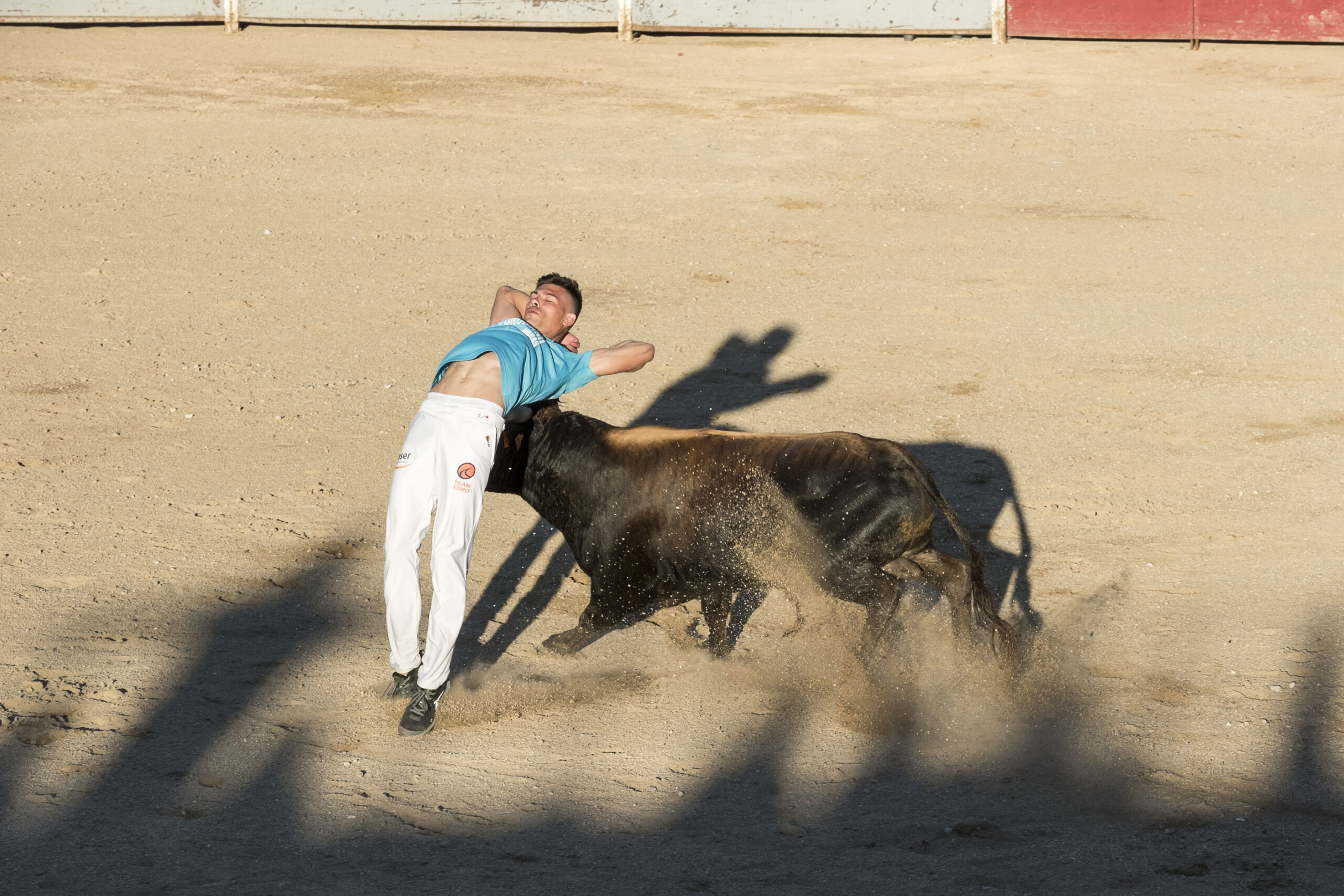 Concurso recortadores aficionados