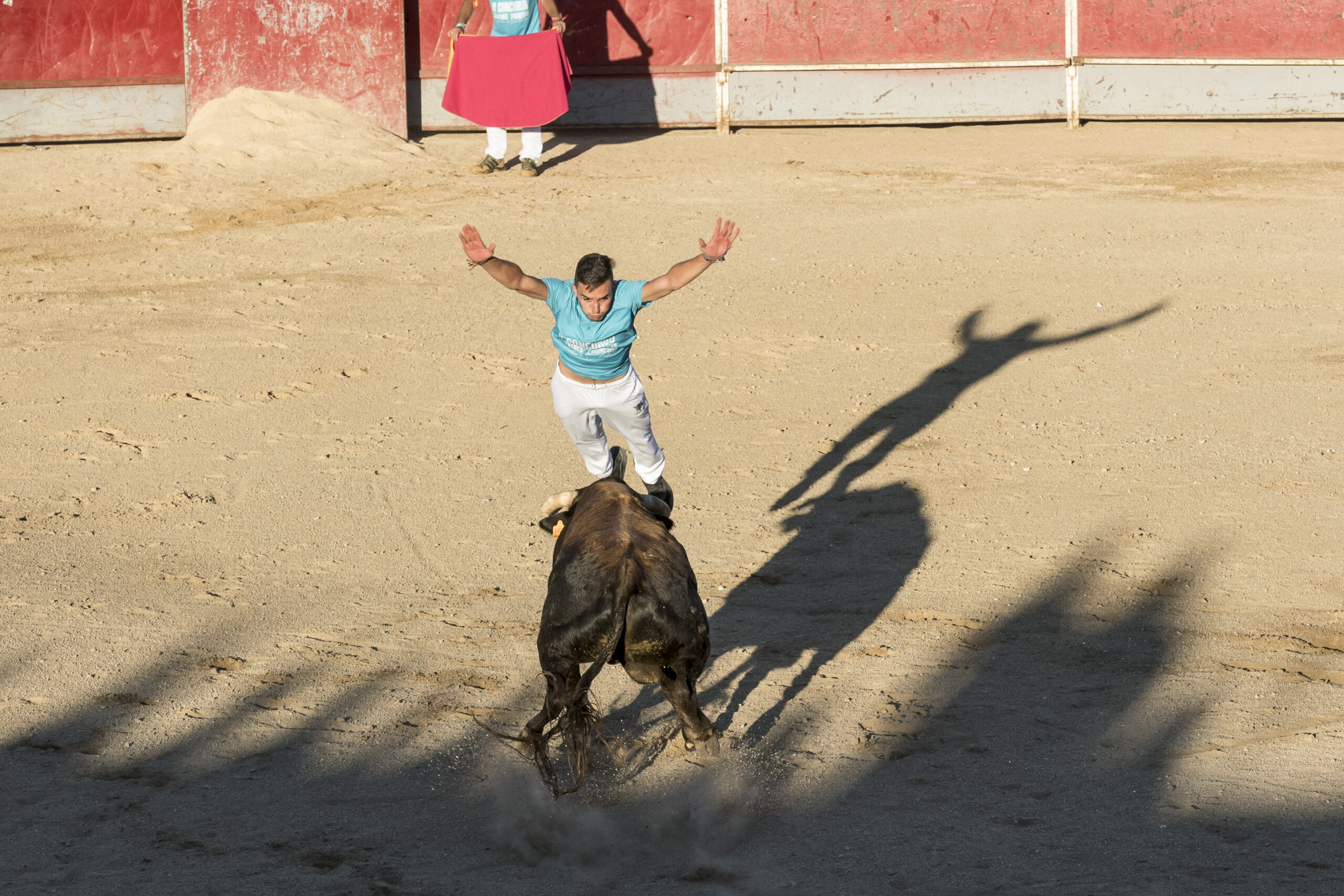 Concurso recortadores aficionados