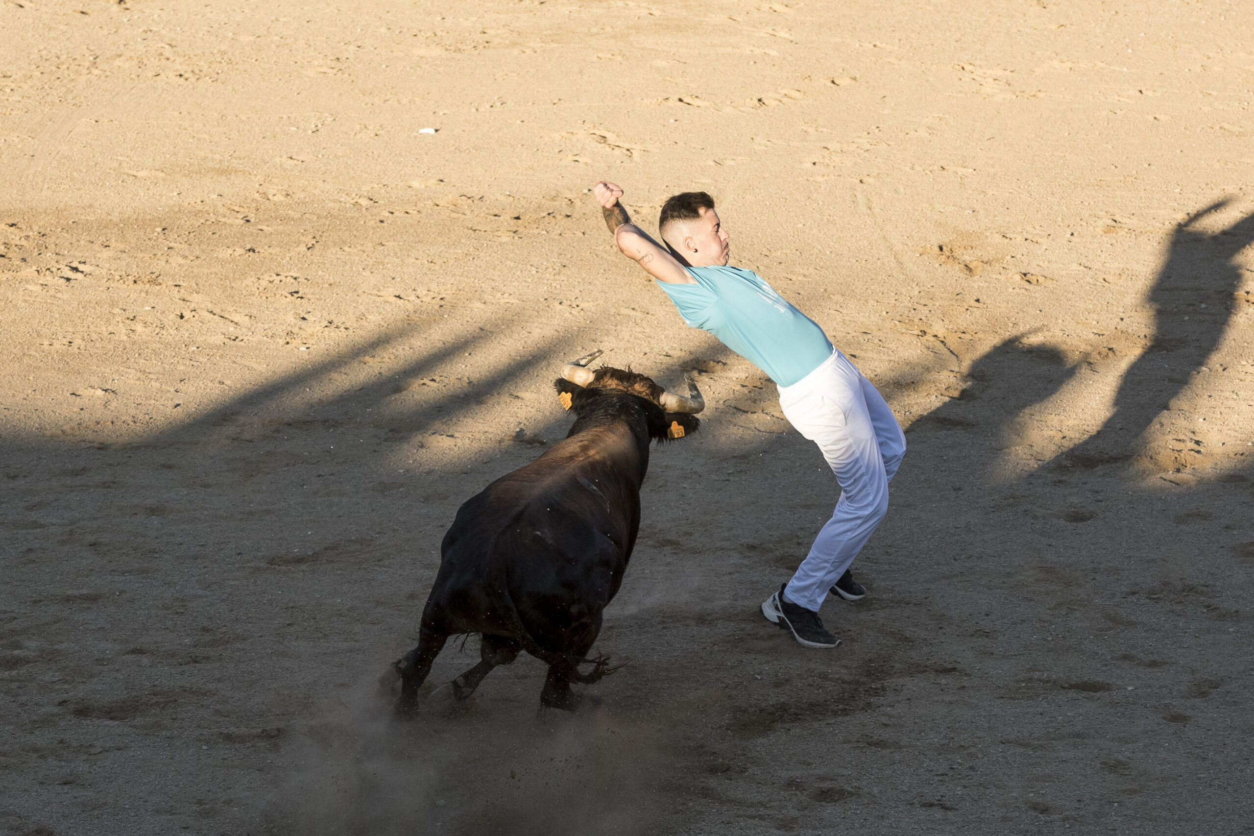 Concurso recortadores aficionados