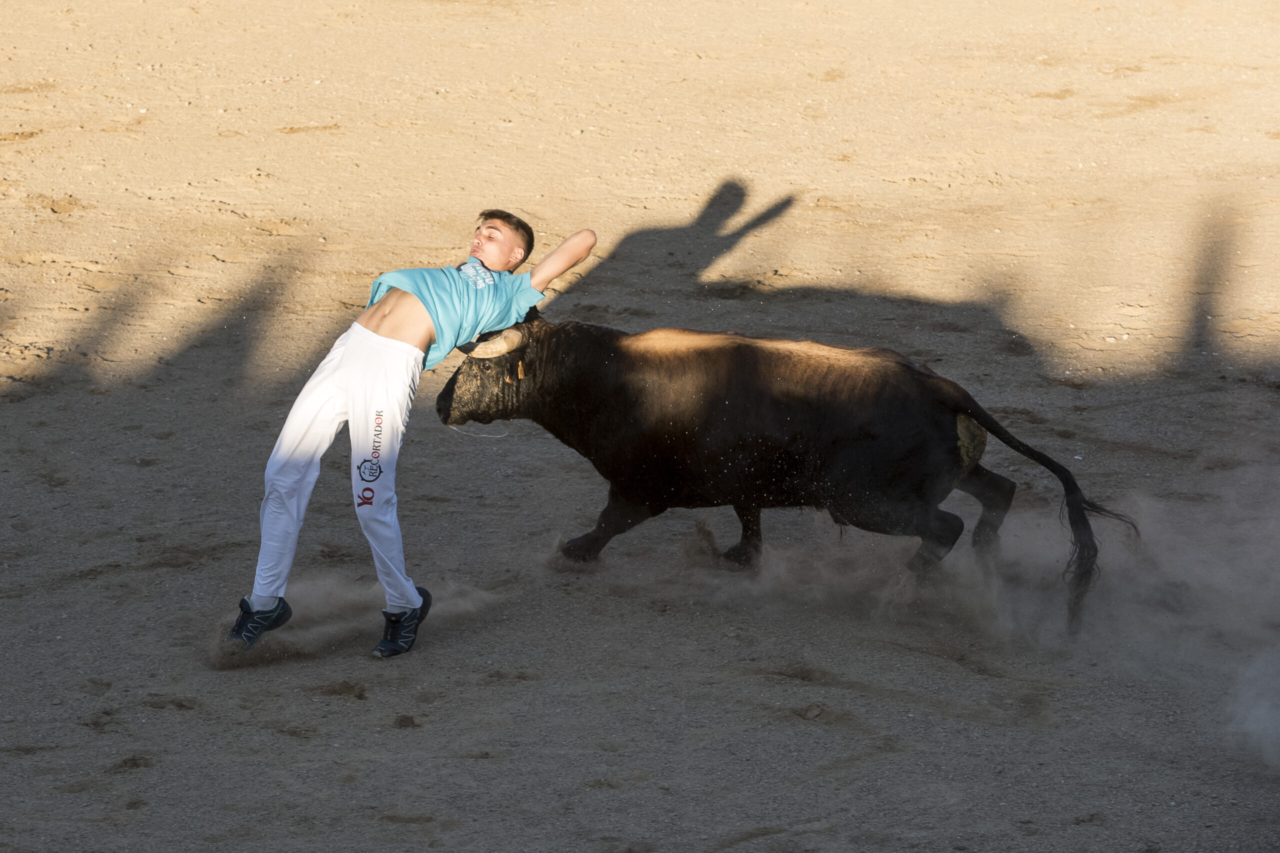 Concurso recortadores aficionados