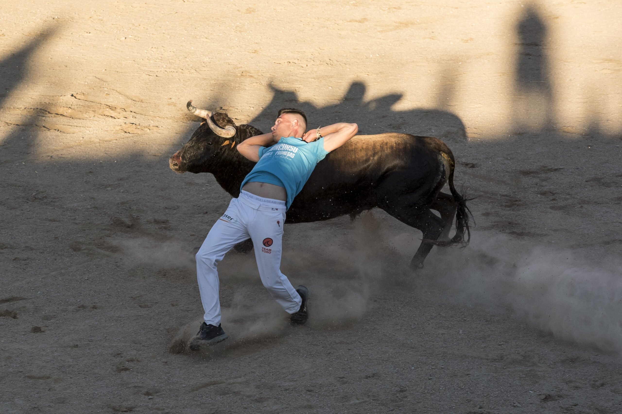 Concurso recortadores aficionados